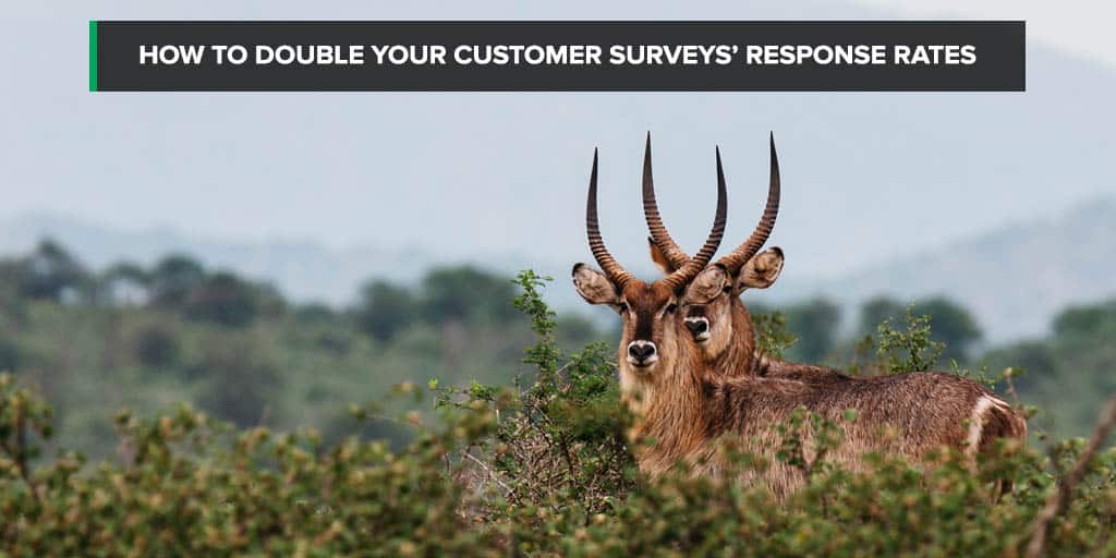 How to double your customer surveys&#039; response rates
