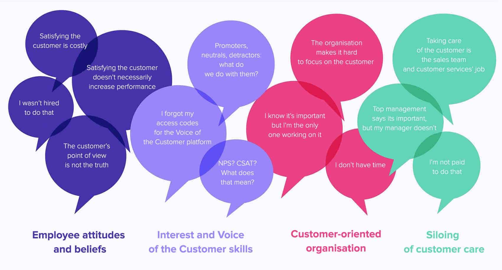 Negative beliefs about the voice of customer