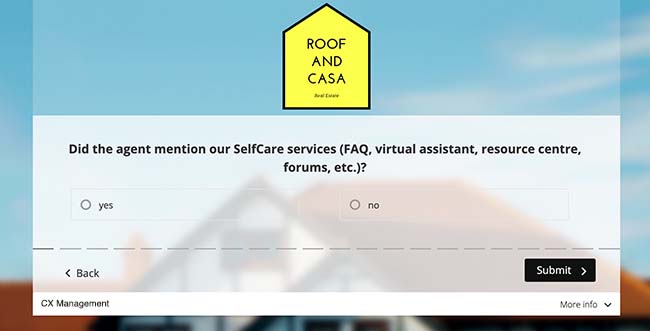 customer survey
