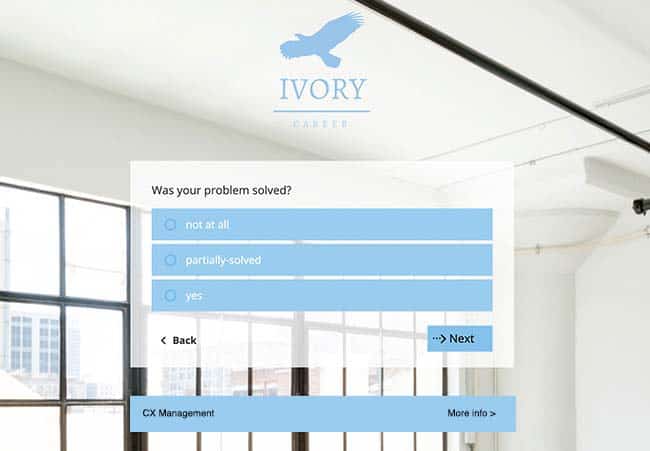 call centre survey