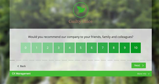 survey