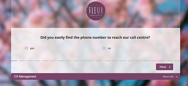 call centre survey