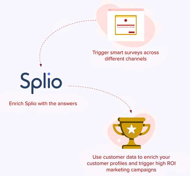 6 Practical Use Cases to Enrich your Splio Database and Increase your Turnover