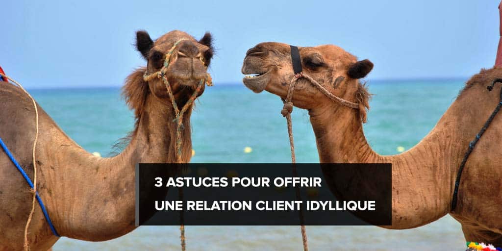 3 astuces pour offrir une relation client idyllique