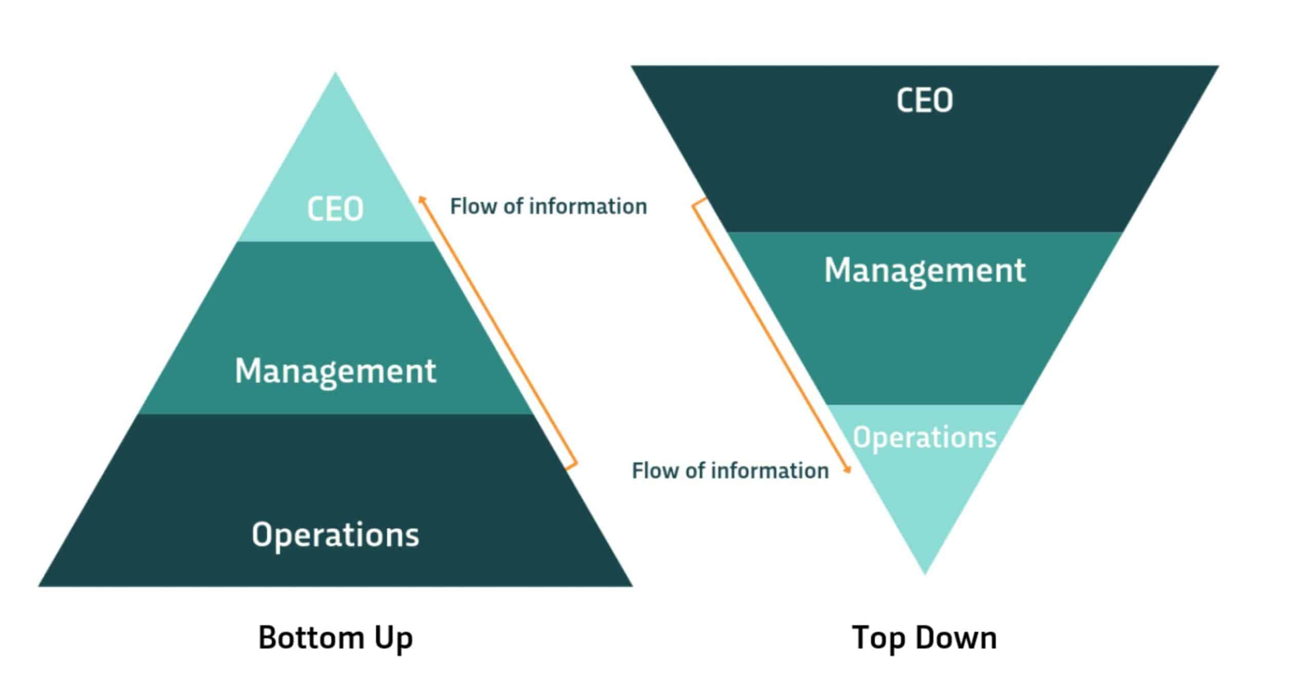 top down and bottom-up management