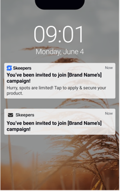 Skeepers Creator Campaign Invitations