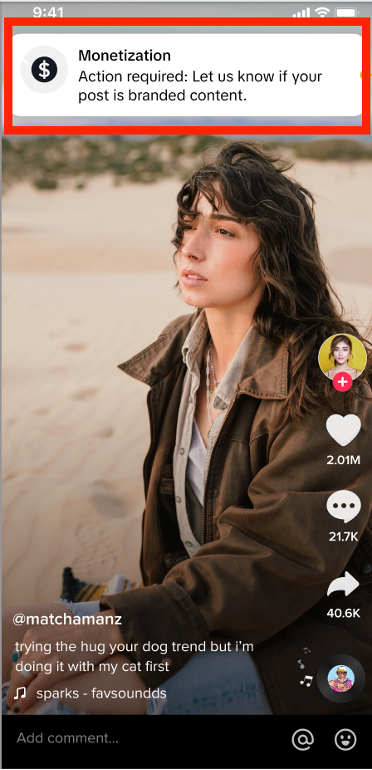 TikTok Business New Branded Content Policy